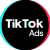 tiktok-ads tiktok-ads